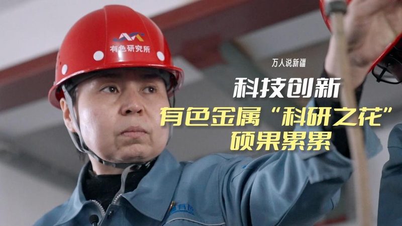 企业搜索技术选型的核心考量因素